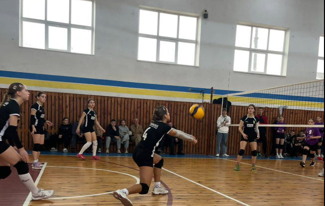 волейбол