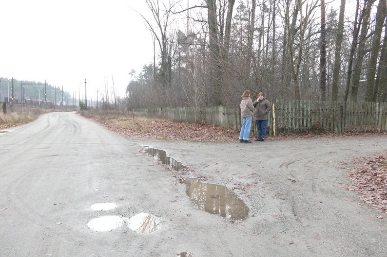 Загибель дитини в ДТП у Гранітному: що розповіли мати, свідки та...