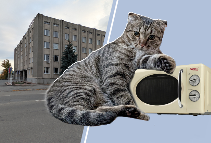 Міська рада Малина — будівля та вхід