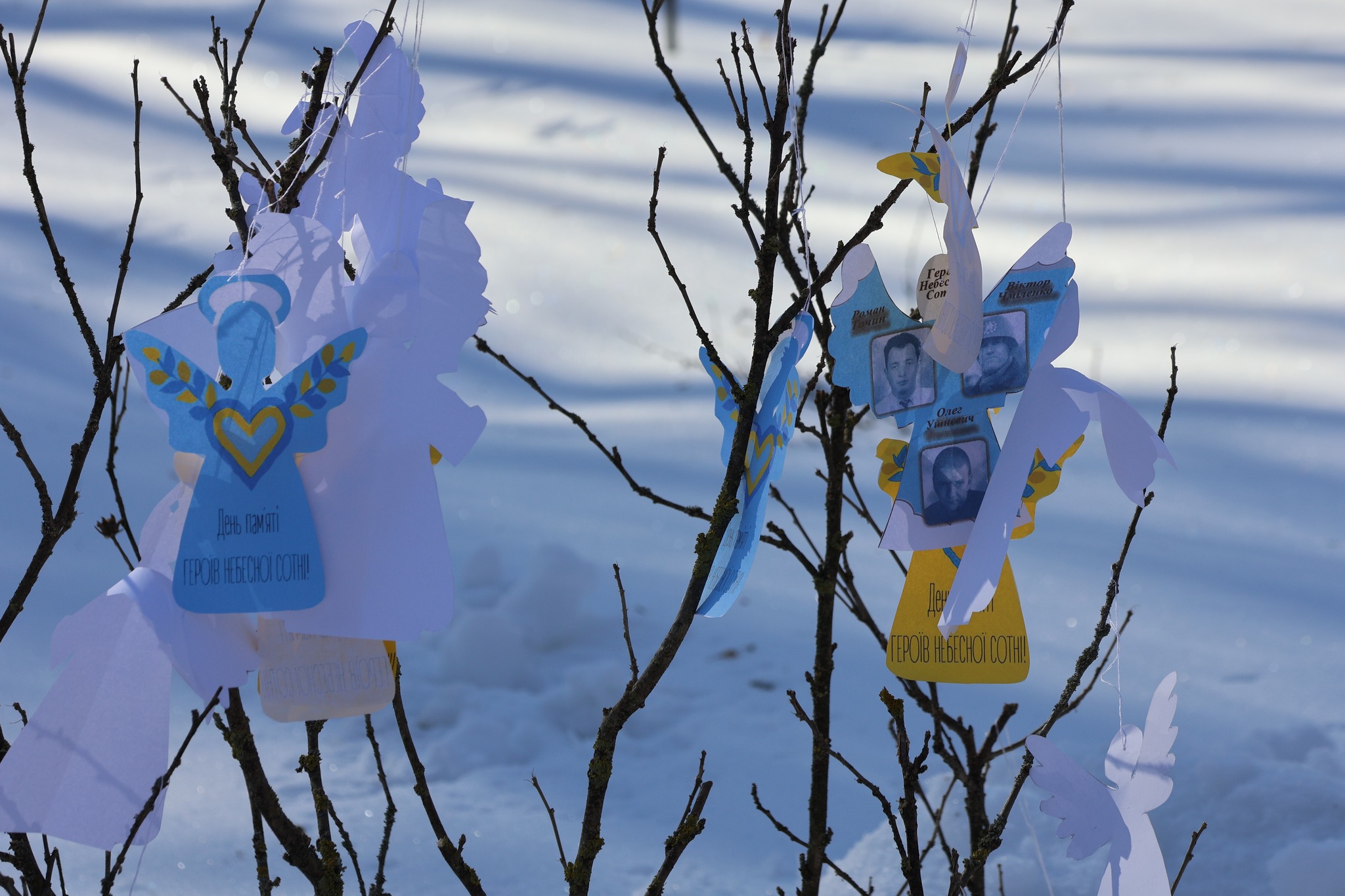 У Малині вшанували пам’ять Героїв Небесної Сотні: у парку відбулася спільна...