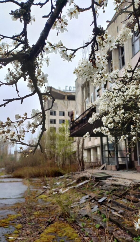 Весна у Прип’яті: місто розквітає крізь бетон і тишу. ФОТО