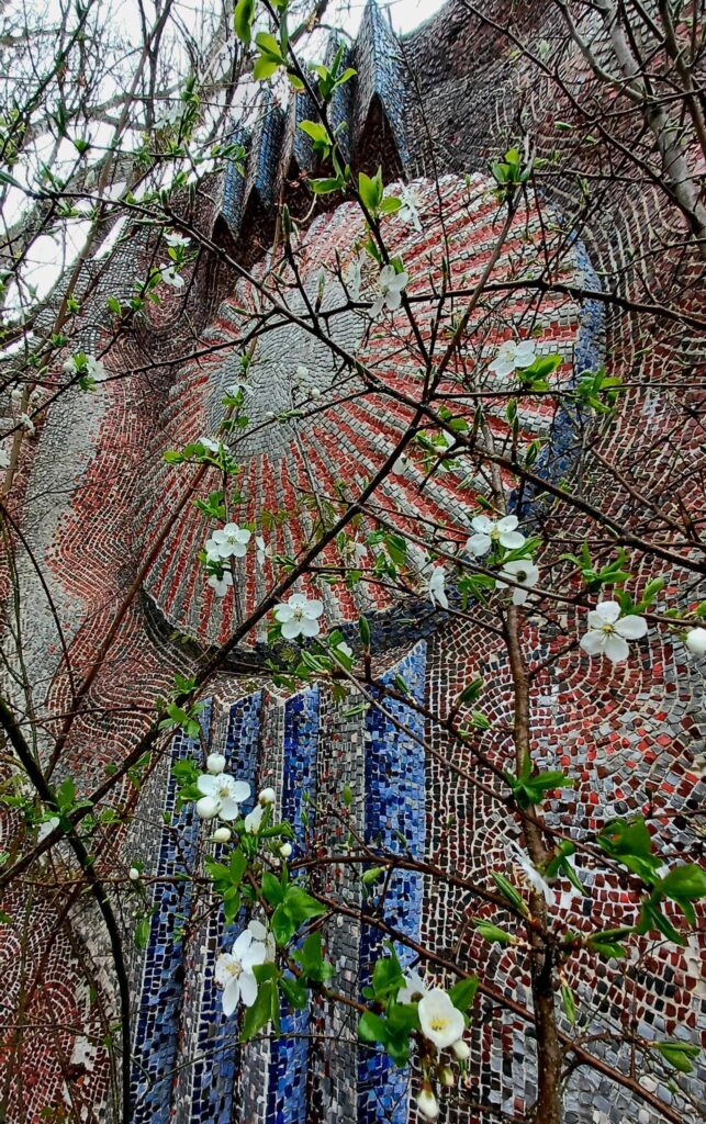 Весна у Прип’яті: місто розквітає крізь бетон і тишу. ФОТО