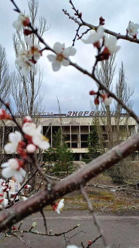 Весна у Прип’яті: місто розквітає крізь бетон і тишу. ФОТО