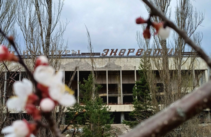 Весна у Прип’яті: місто розквітає крізь бетон і тишу. ФОТО