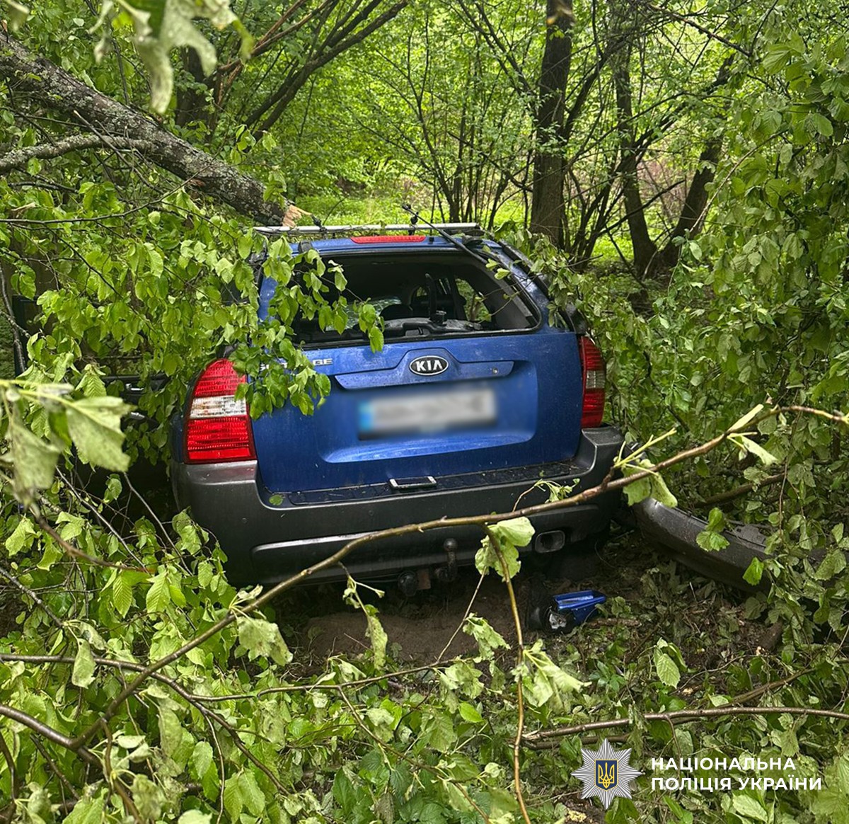 Смертельна аварія у Чоповицькій громаді: загинуло двоє людей