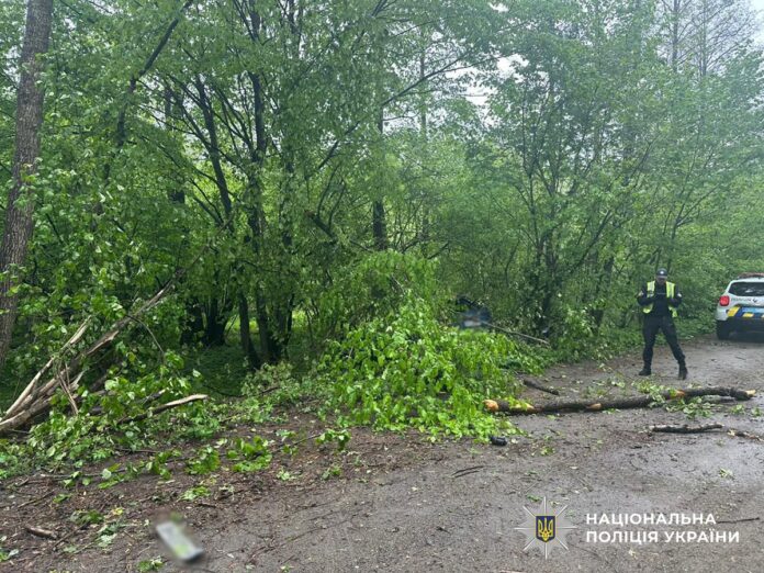Смертельна аварія у Чоповицькій громаді: загинуло двоє людей