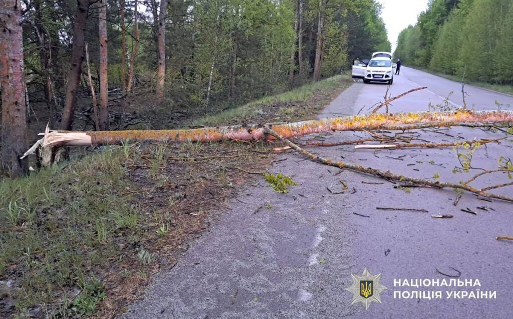 У Малинській громаді в ДТП загинув 34-річний мотоцикліст