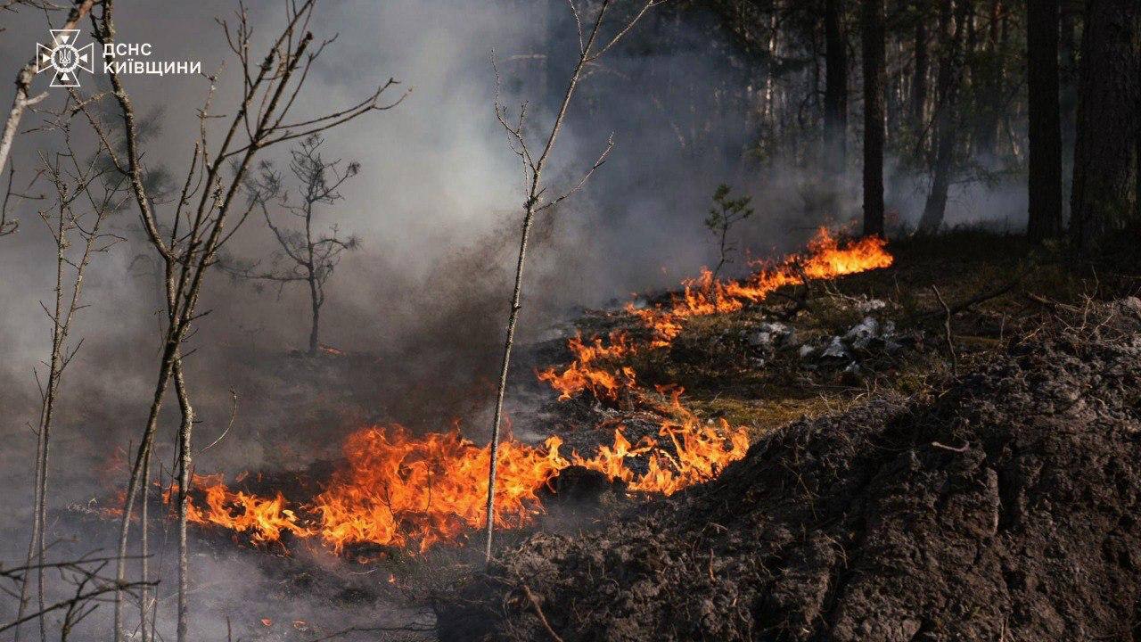 У Чорнобильській зоні гасять масштабну пожежу: вогонь охопив понад 1100 га...